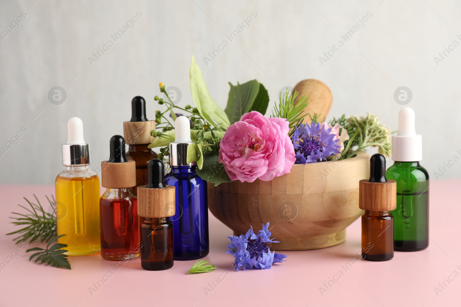 Photo of Aromatherapy. Different essential oils and flowers on pink table