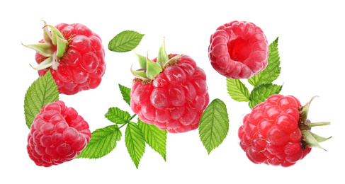 Image of Set of fresh raspberries with green leaves on white background. Banner design