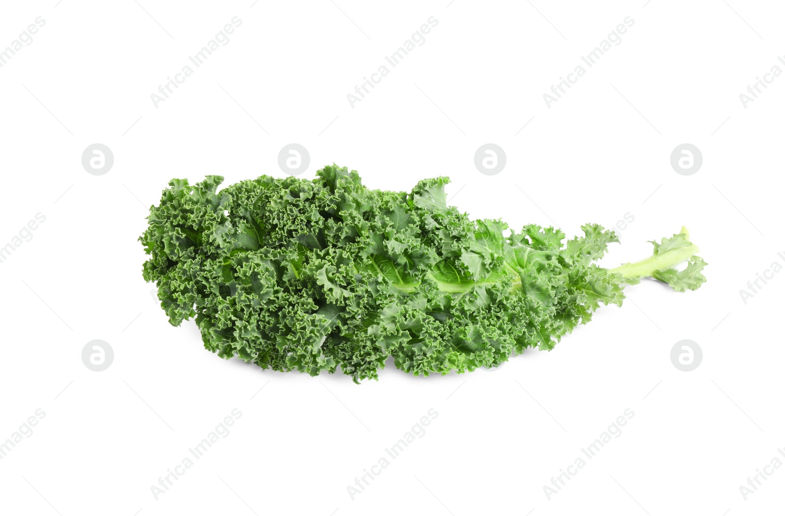 Photo of Fresh green kale leaf isolated on white