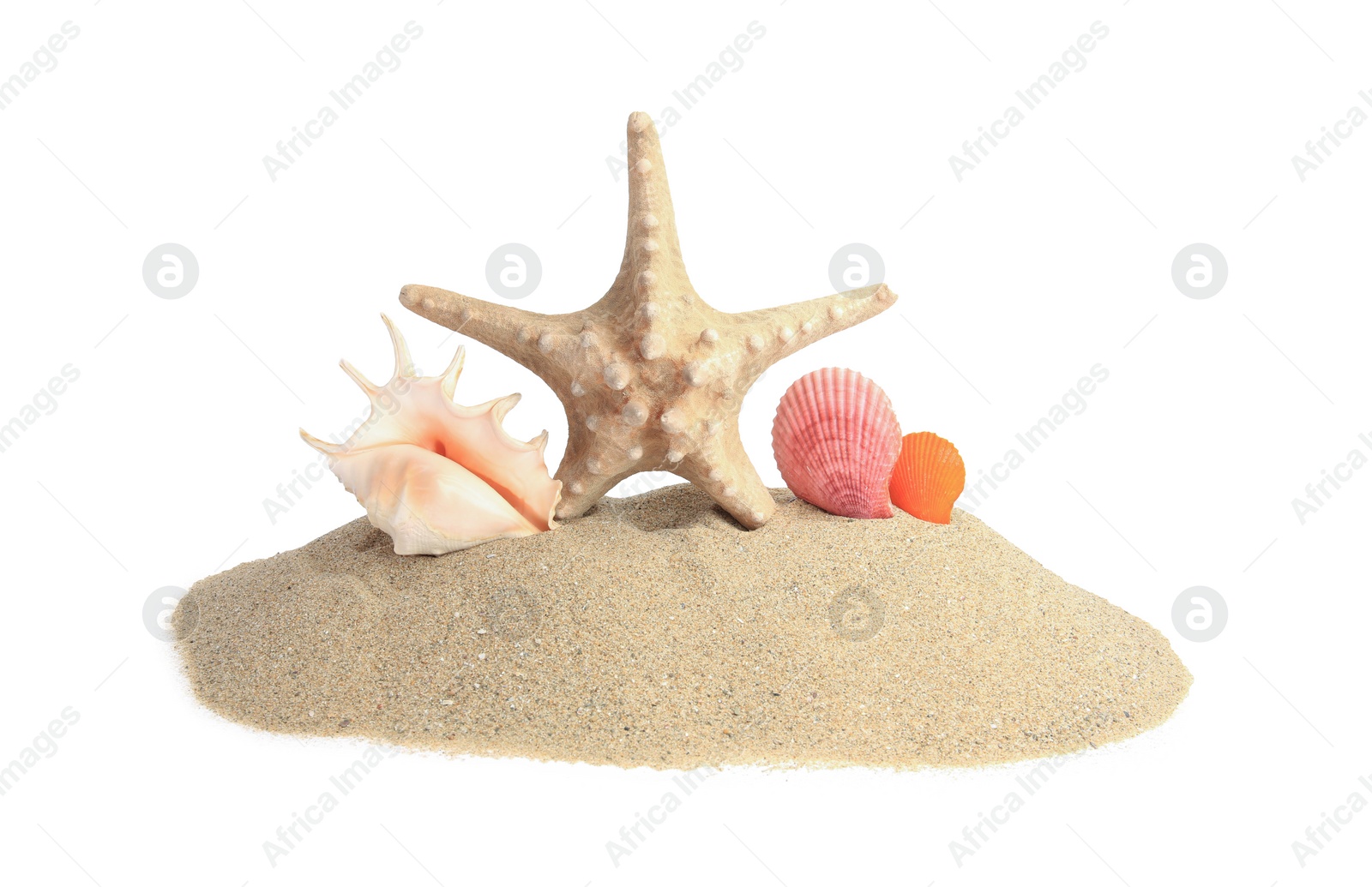 Photo of Beautiful sea star (starfish) and seashells in sand isolated on white