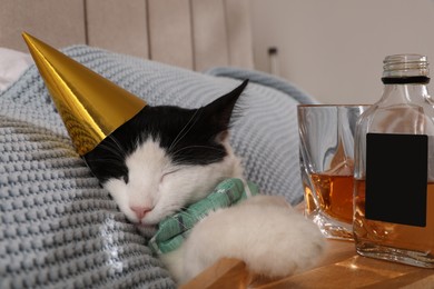 Photo of Cute cat wearing birthday hat near tray with whiskey at home. After party hangover