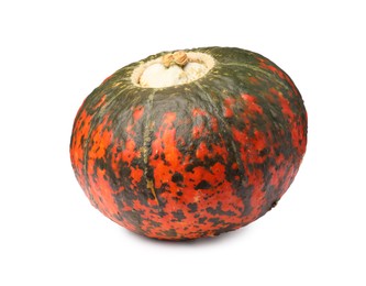 Photo of One fresh ripe pumpkin isolated on white