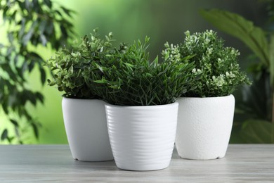 Photo of Different aromatic potted herbs on white wooden table outdoors