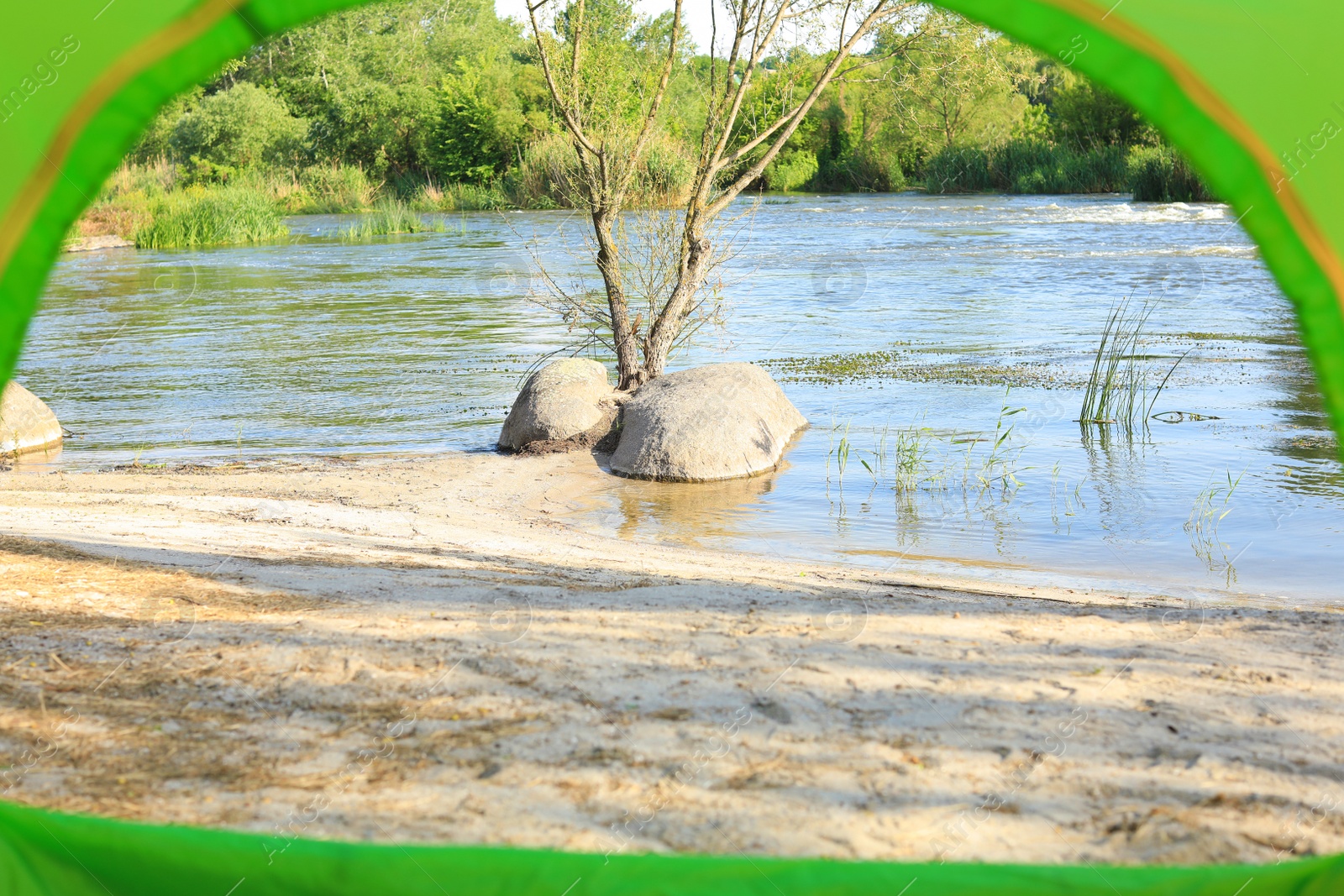 Photo of Calm river with forest on bank, view from camping tent