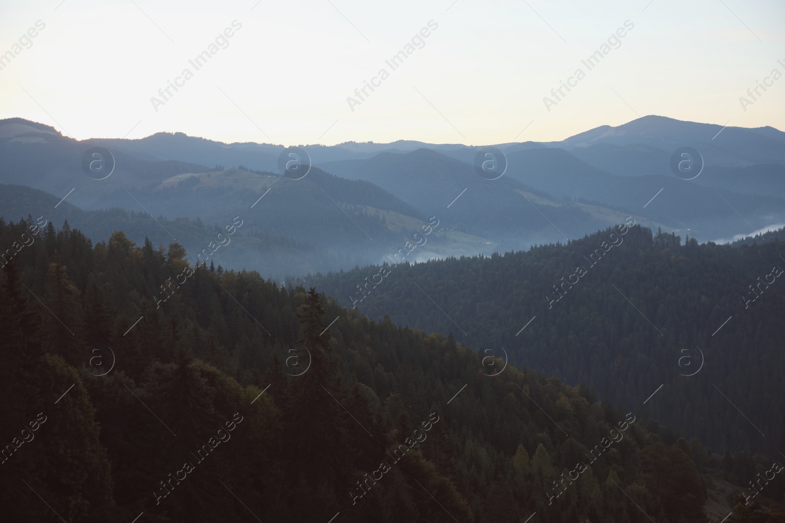 Photo of Amazing view of beautiful foggy mountains in morning