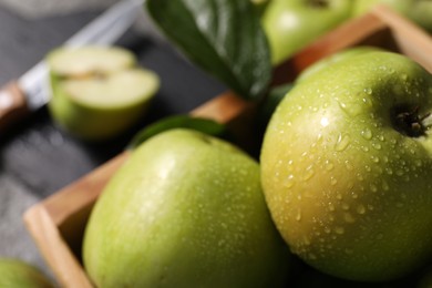 Photo of Ripe green apples with water drops in crate on table, closeup