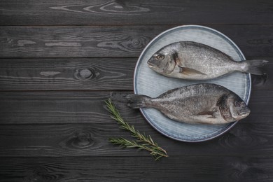 Photo of Fresh raw dorado fish and rosemary on black wooden table, top view. Space for text