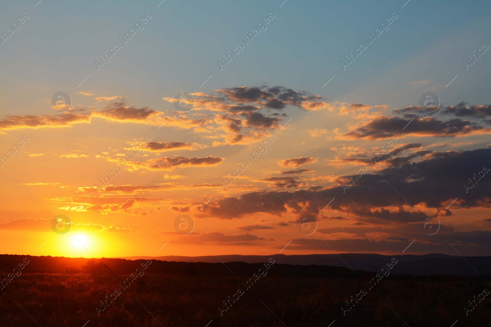 Photo of Picturesque view of beautiful field at sunset