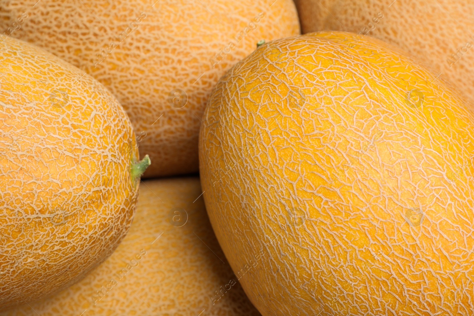 Photo of Whole tasty ripe melons as background, closeup