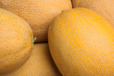 Whole tasty ripe melons as background, closeup