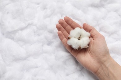 Photo of Woman holding fluffy cotton flower on white background, top view. Space for text