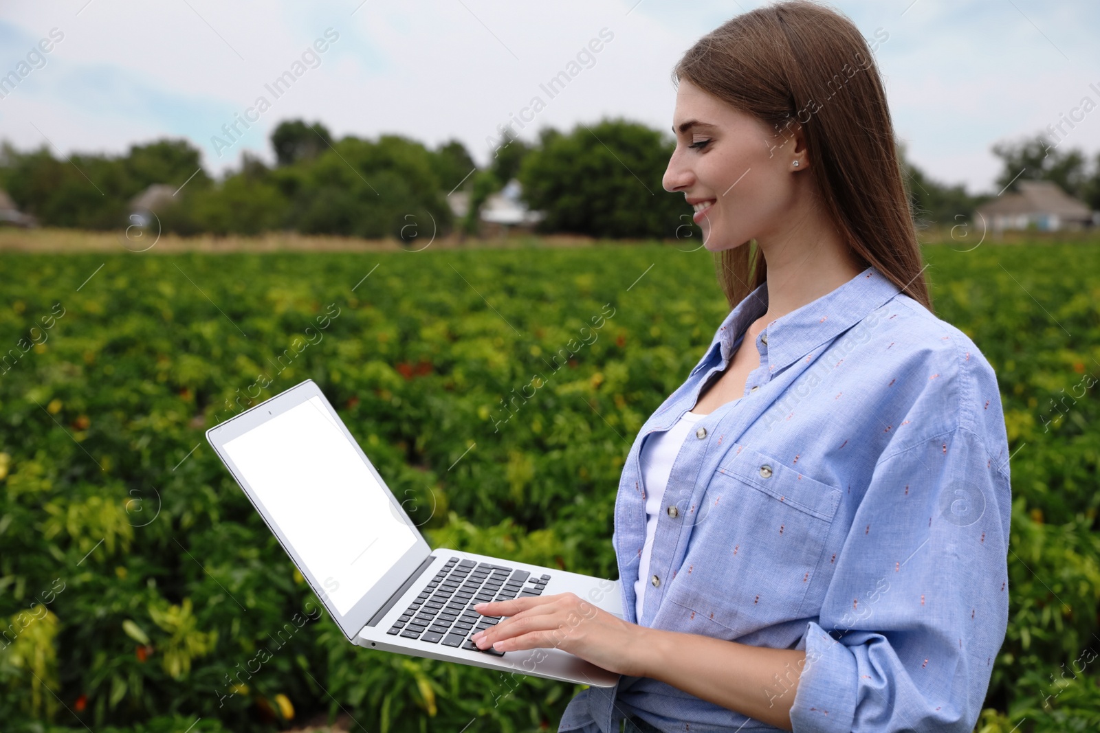 Photo of Woman using laptop with blank screen in field. Agriculture technology