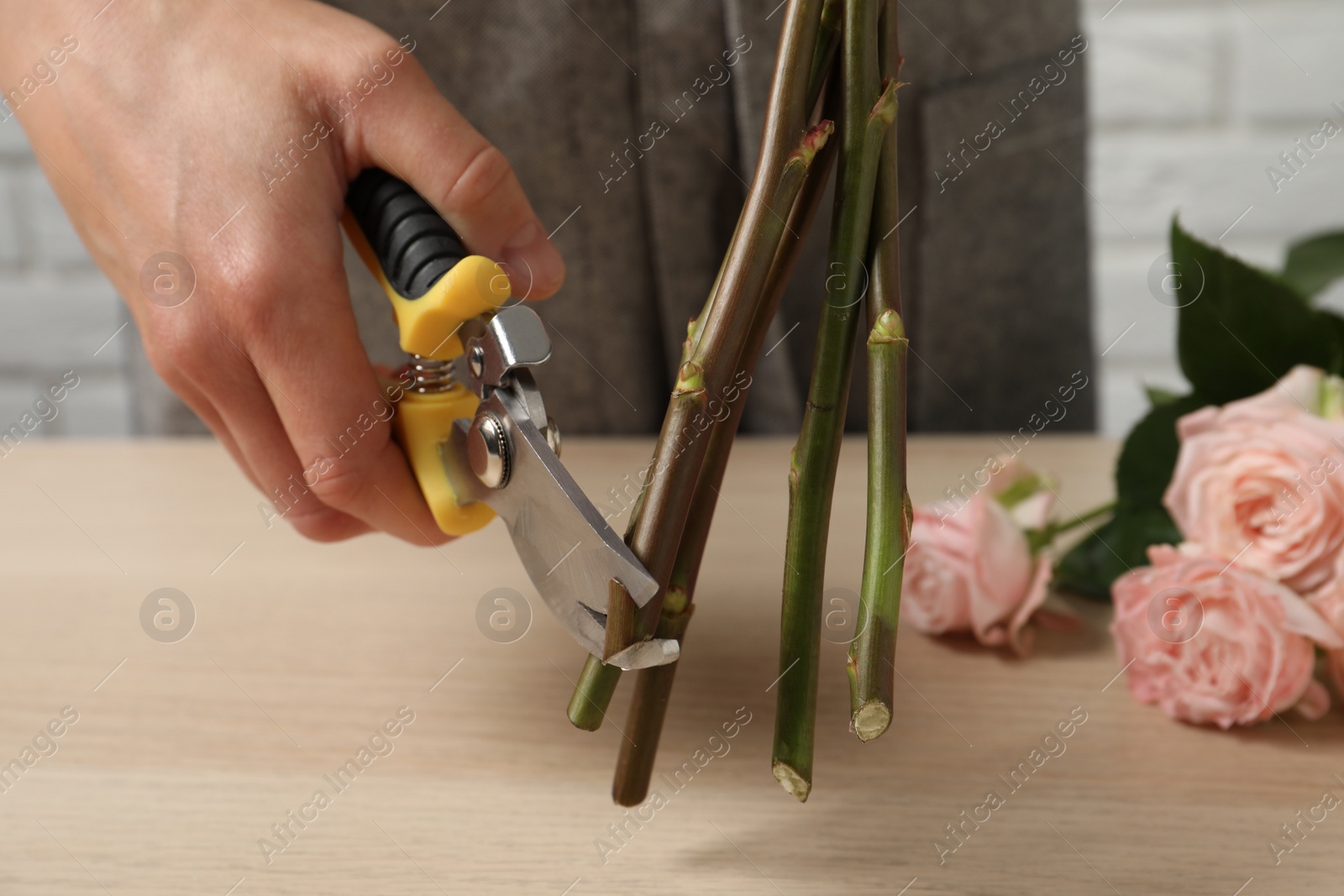 Photo of Florist cutting flower stems with pruner at workplace, closeup