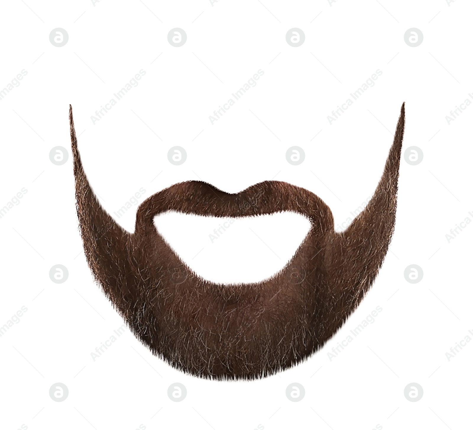 Image of Stylish beard on white background. Men's fashion