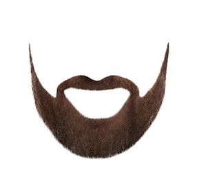 Image of Stylish beard on white background. Men's fashion