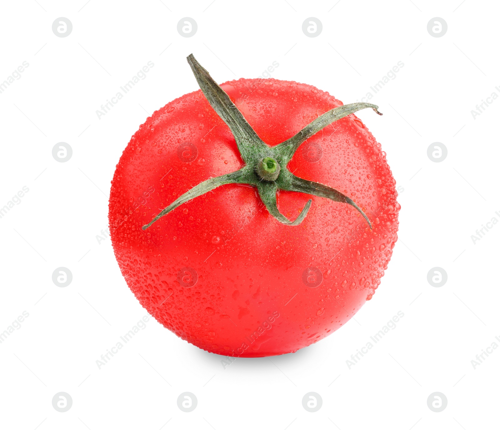 Photo of One red ripe tomato with water drops isolated on white