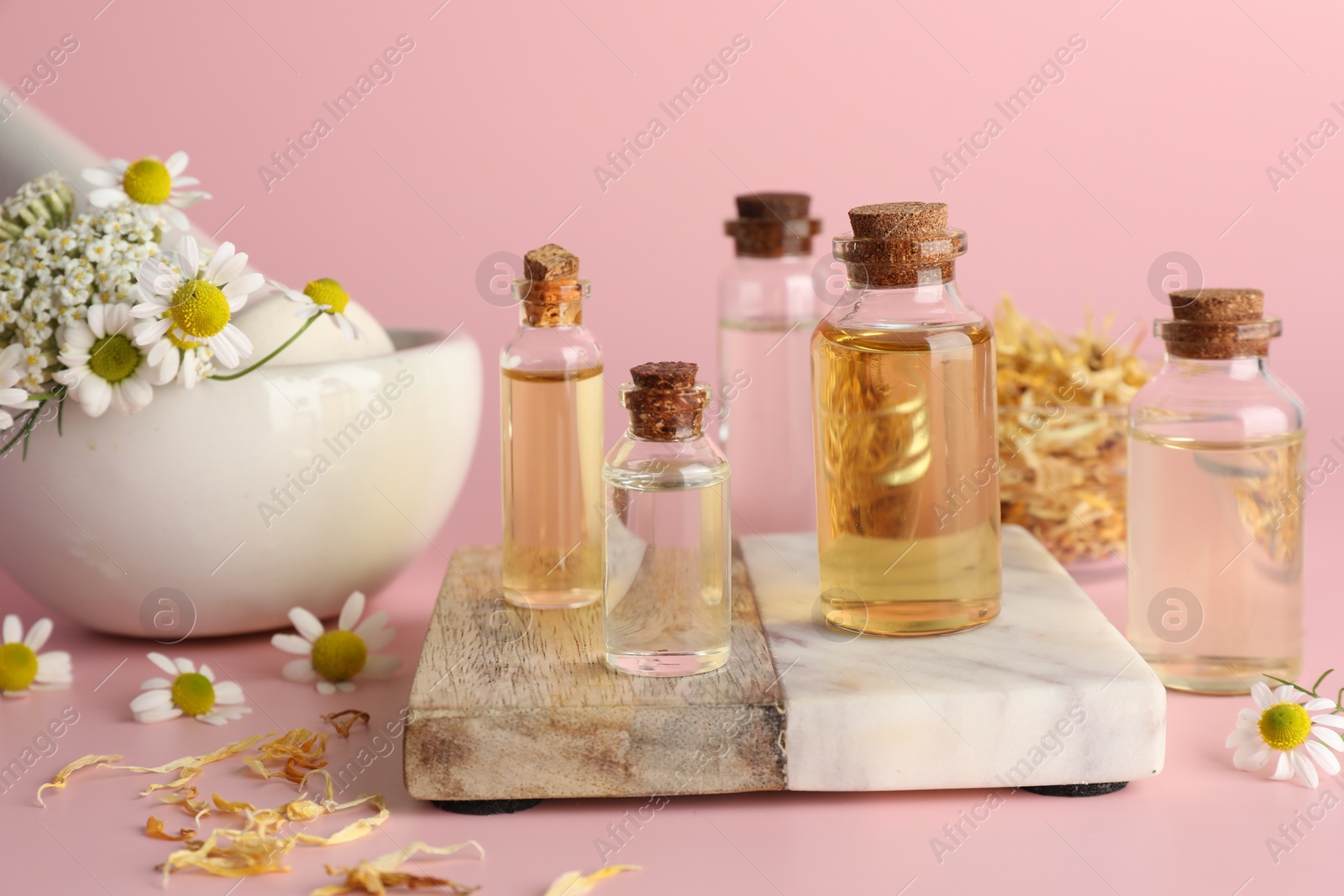 Photo of Aromatherapy. Different essential oils and flowers on pink background