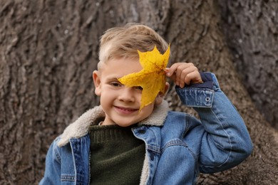 Photo of Portrait of happy boy with autumn dry leaf near tree outdoors