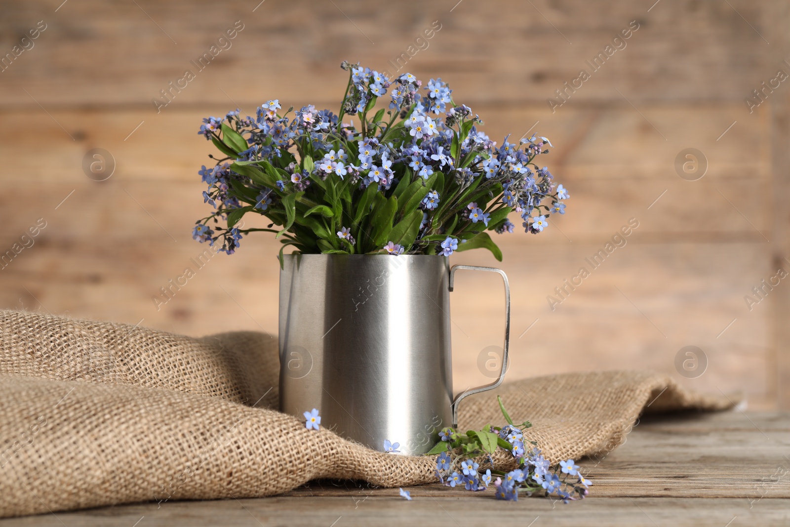 Photo of Beautiful forget-me-not flowers on wooden table, closeup