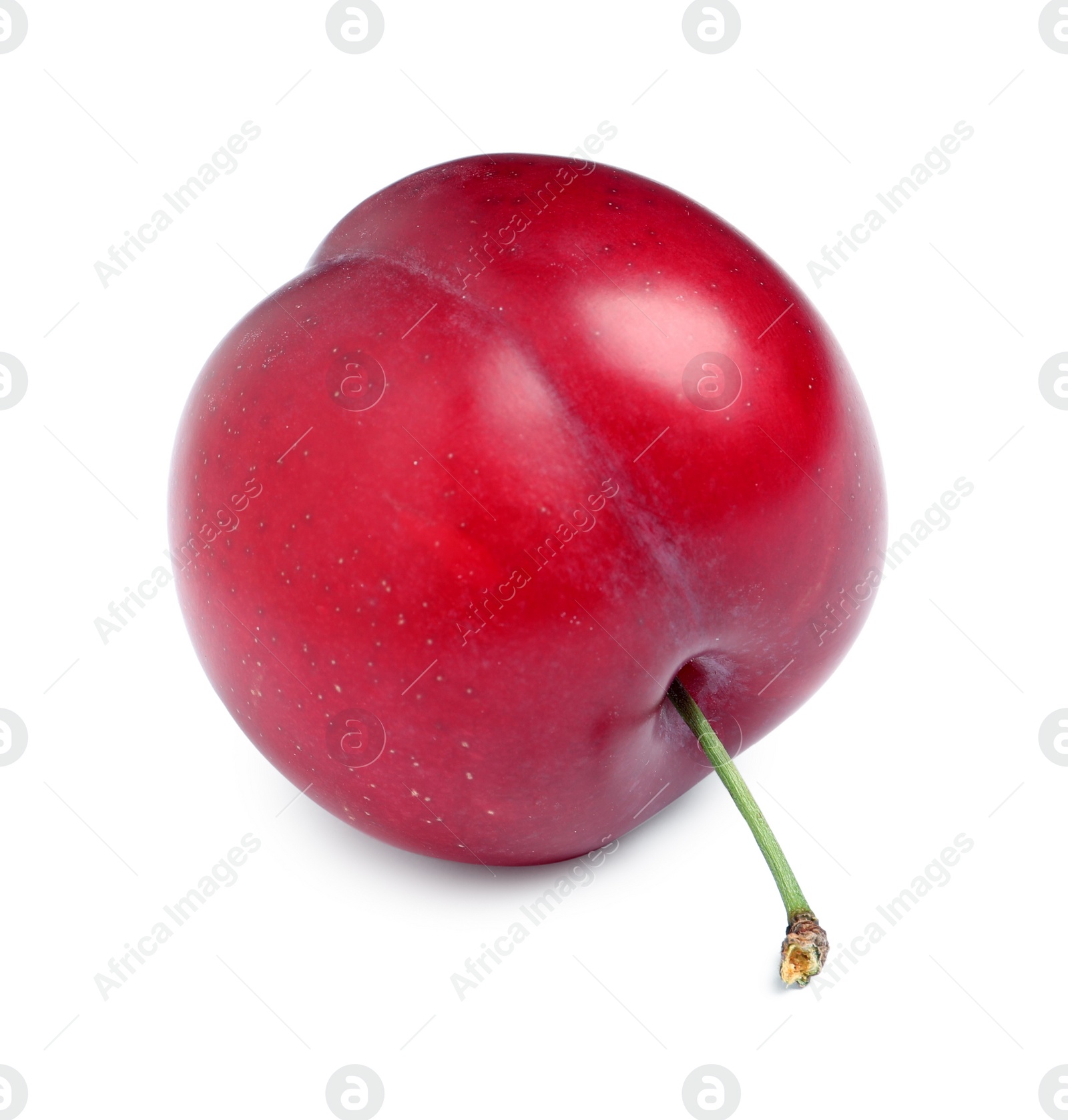 Photo of Delicious ripe cherry plum isolated on white