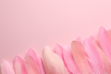 Photo of Beautiful feathers on pink background, flat lay. Space for text