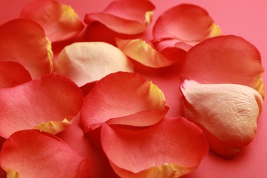 Photo of Beautiful fresh rose petals on coral background, closeup