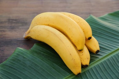 Photo of Delicious bananas and green leaf on wooden table