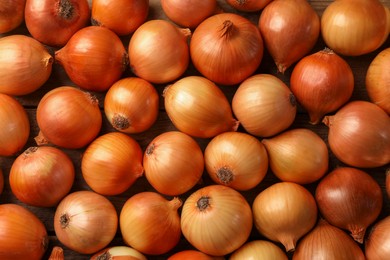 Photo of Many ripe onions as background, top view