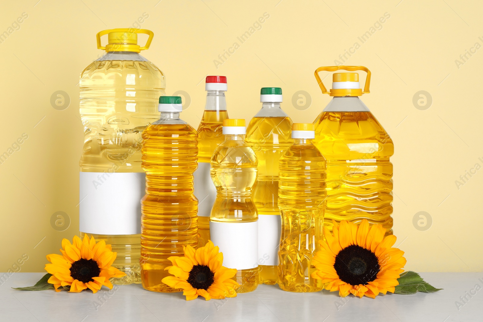 Photo of Bottles of cooking oil and sunflowers on white table