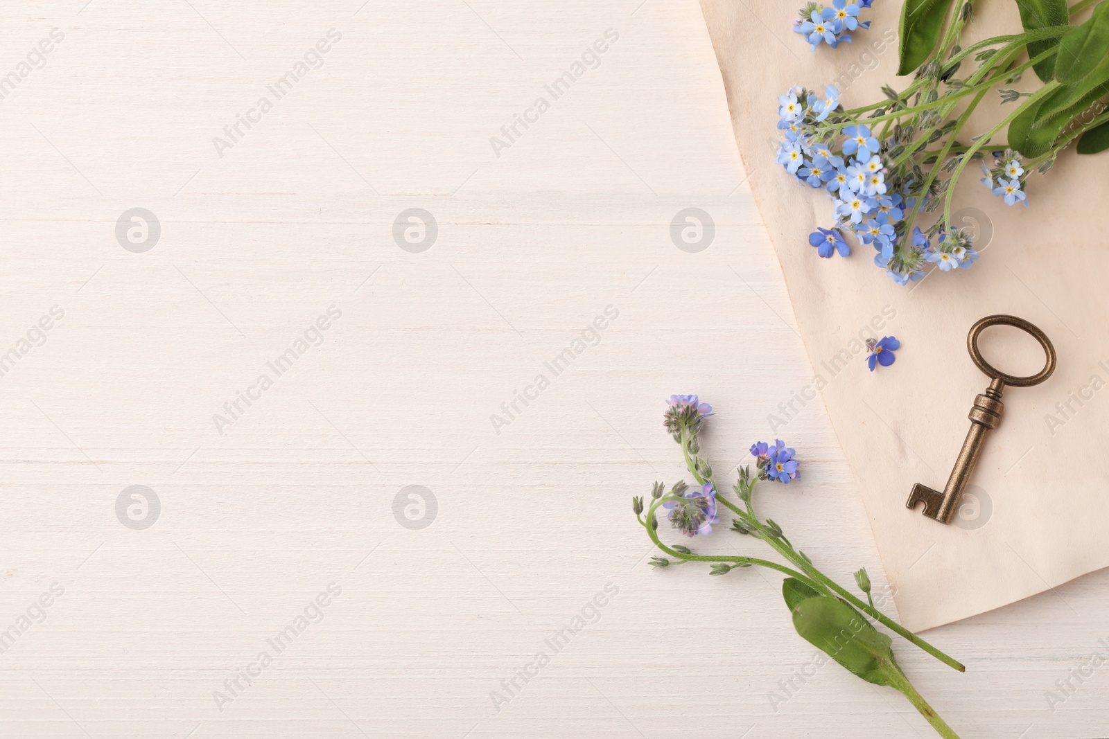 Photo of Flat lay composition with beautiful Forget-me-not flowers on white wooden table. Space for text