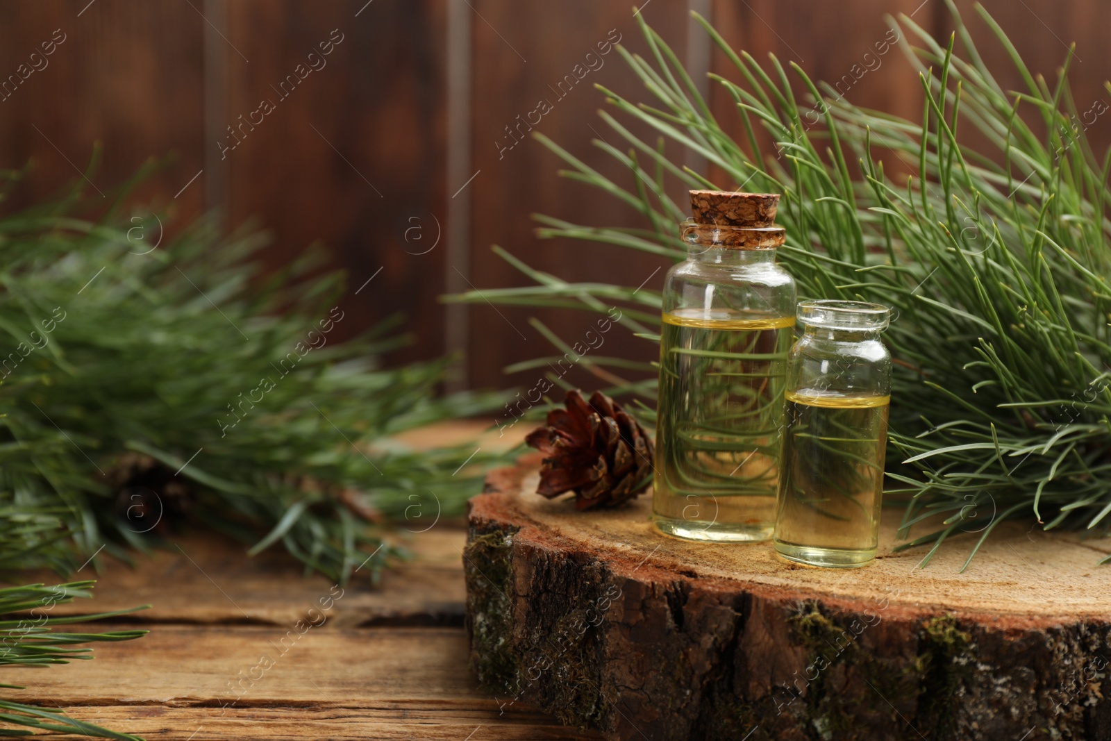 Photo of Pine essential oil, cone and branches on wooden table. Space for text