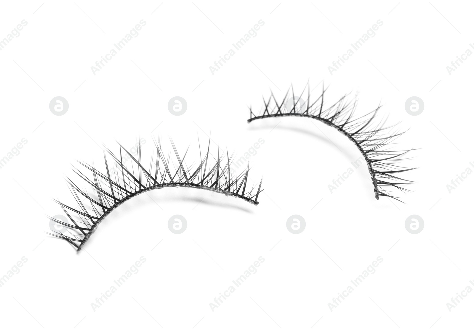 Photo of Beautiful pair of false eyelashes on white background