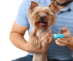 Photo of Man brushing dog's teeth on white background, closeup