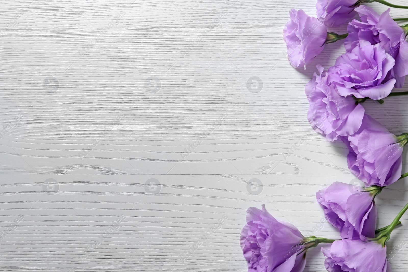 Photo of Flat lay composition with beautiful Eustoma flowers on light wooden background