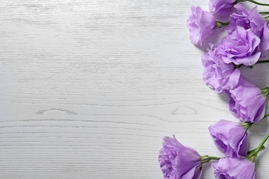 Photo of Flat lay composition with beautiful Eustoma flowers on light wooden background