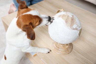 Photo of Dog near globe at wooden table indoors. Travel with pet concept