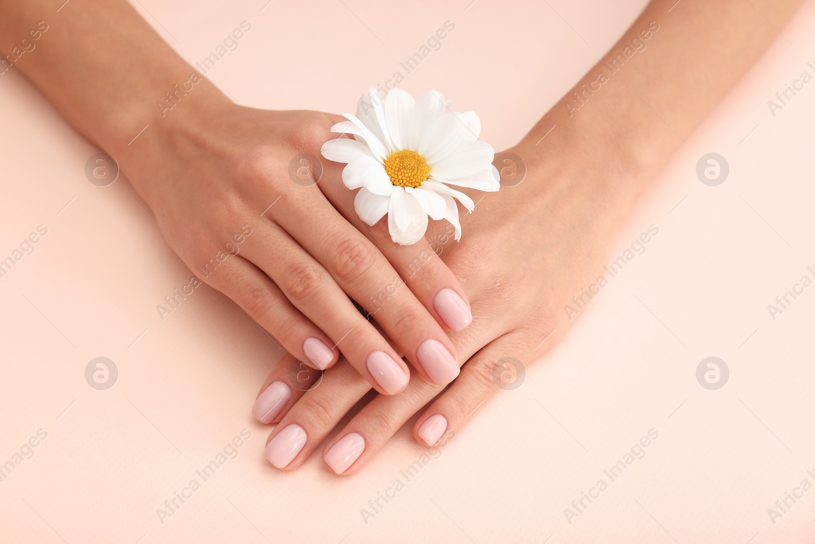 Photo of Closeup view of woman with flower on color background. Spa treatment