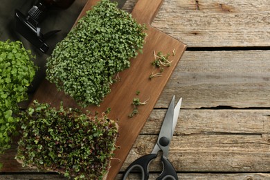Photo of Fresh microgreens, spray bottle and scissors on wooden table, flat lay. Space for text