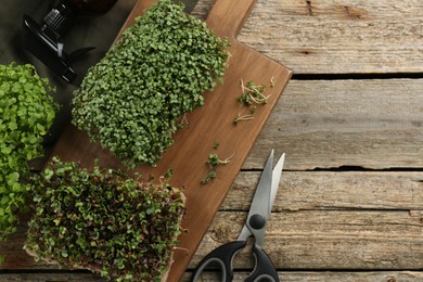 Fresh microgreens, spray bottle and scissors on wooden table, flat lay. Space for text