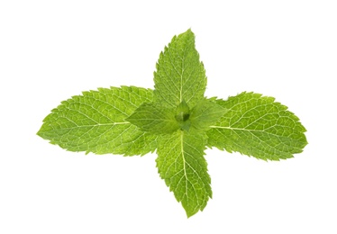 Photo of Leaves of fresh mint isolated on white