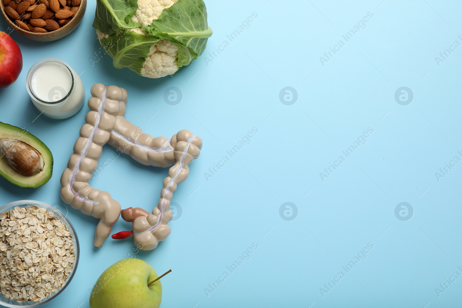 Photo of Layout of intestine model and products to help digestion on turquoise background, top view. Space for text