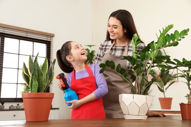 Photo of Mother and daughter taking care of plant at home