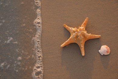 Beautiful sea star and shell on sand, top view