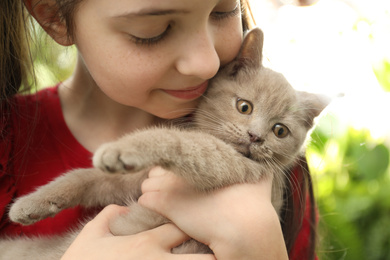 Photo of Girl holding Scottish straight baby cat on blurred background, closeup