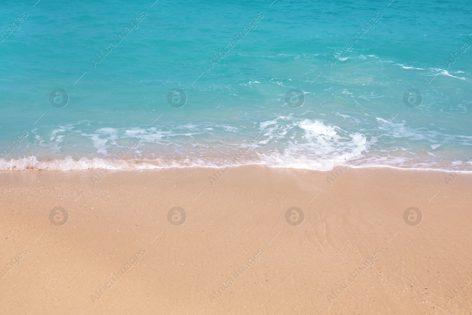 Photo of Picturesque view of beautiful sandy beach on sunny day