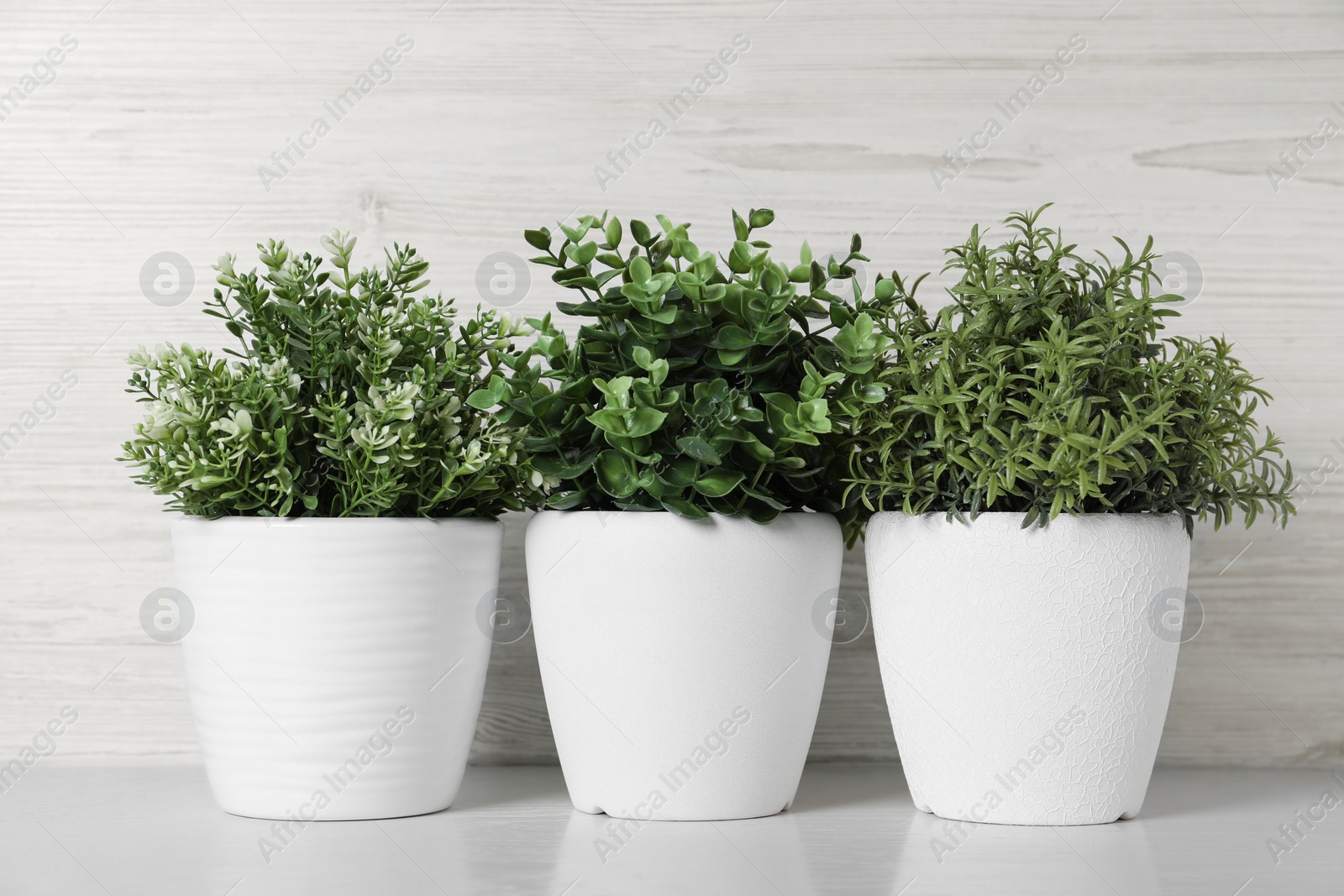 Photo of Different artificial potted herbs on white table