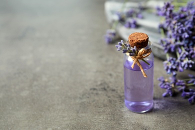 Bottle of essential oil and lavender flowers on grey stone table. Space for text