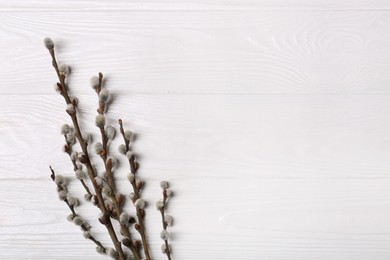 Photo of Beautiful willow branches with fuzzy catkins on white wooden table, flat lay. Space for text