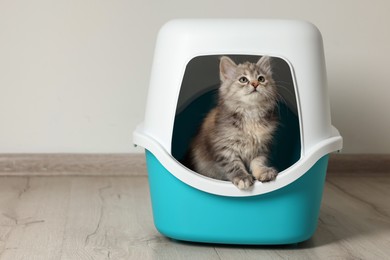 Cute fluffy kitten in closed litter box at home, space for text