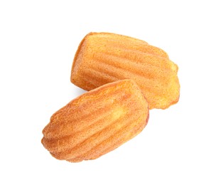 Photo of Delicious madeleine cakes on white background, top view